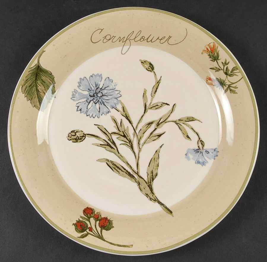 Gardener's Journal Salad Plate by Park Designs-1