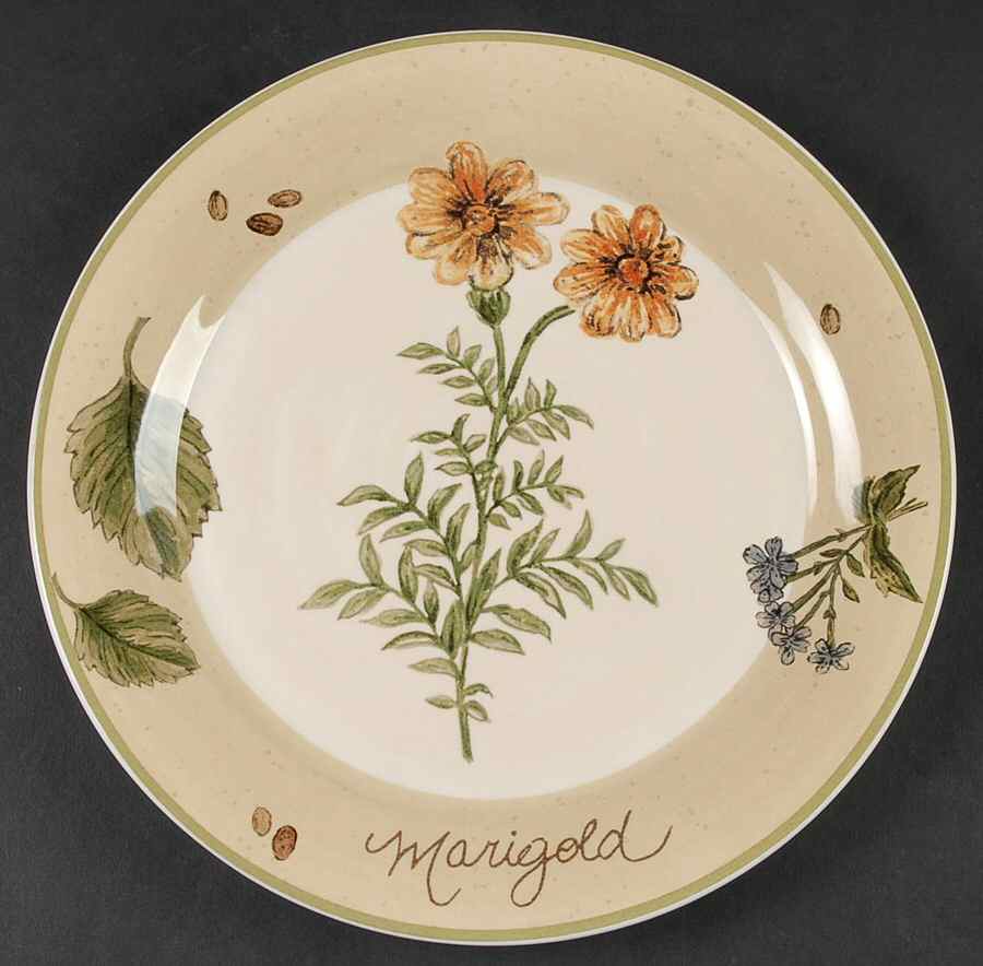 Gardener's Journal Salad Plate by Park Designs-1