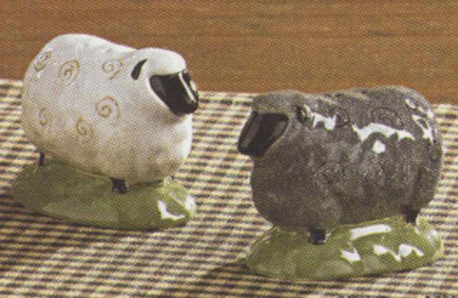 Willow Lane Salt & Pepper Set by Park Designs-1