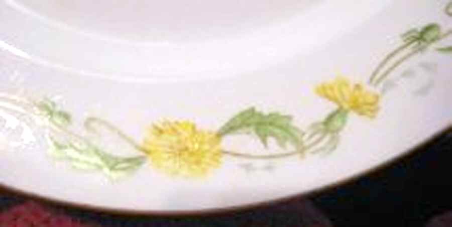 POP284 Dinner Plate by Pope Gosser-1