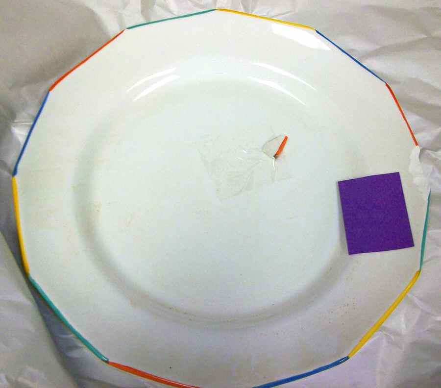 PER115 Dinner Plate by Pier 1-1