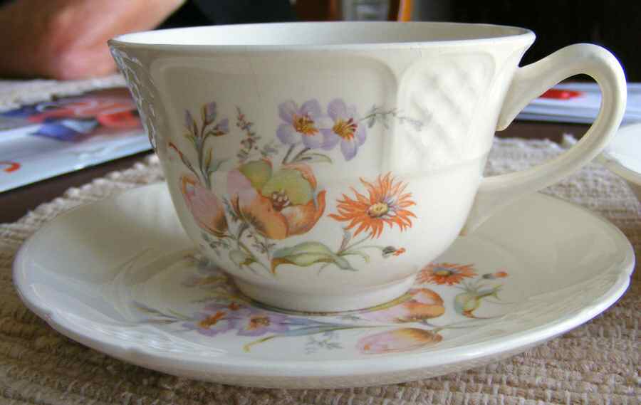 Gladiola (No Trim) Flat Cup & Saucer Set by Paden City-1