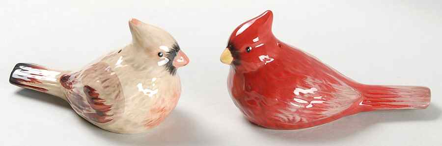 Cardinal Salt & Pepper Set by Park Designs-1