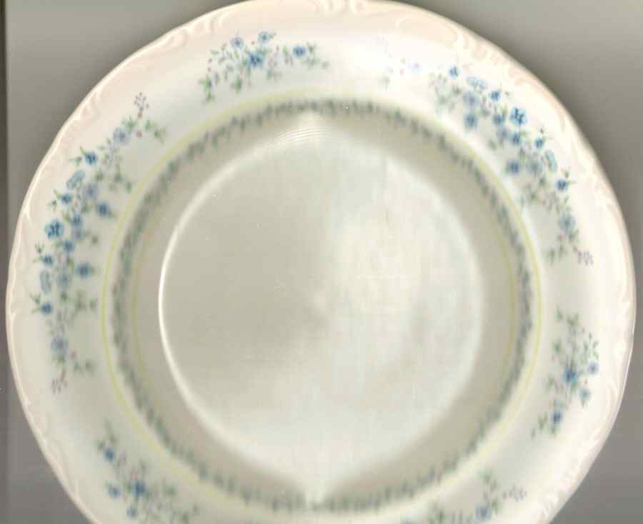 PNT31 Dinner Plate by Pontesa-1