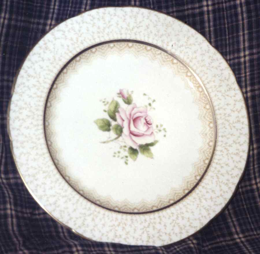 Z1022 Dinner Plate by Paragon-1