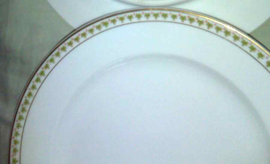 PAD39 Dinner Plate by Paroutaud-1