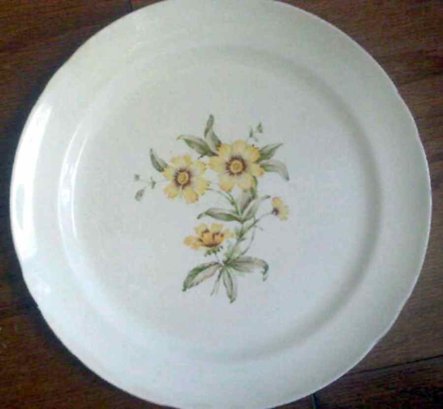 PCN9 Dinner Plate by Poinciana-1