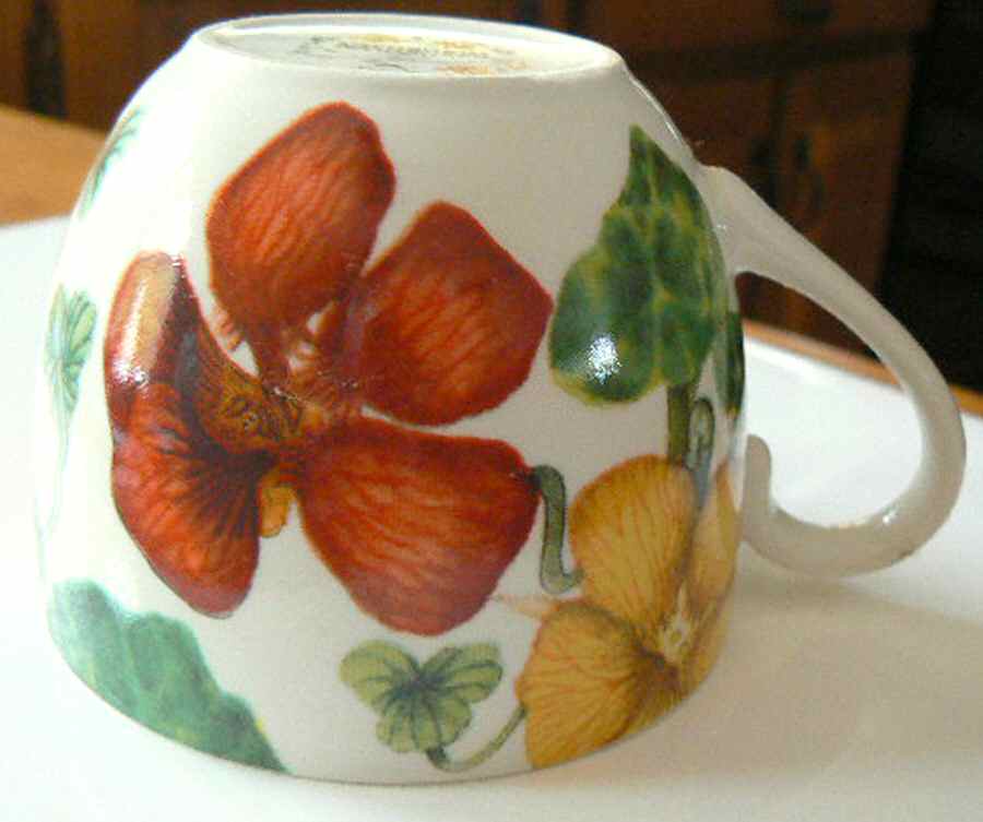 Nasturtium Flat Cup by Poole Pottery-1