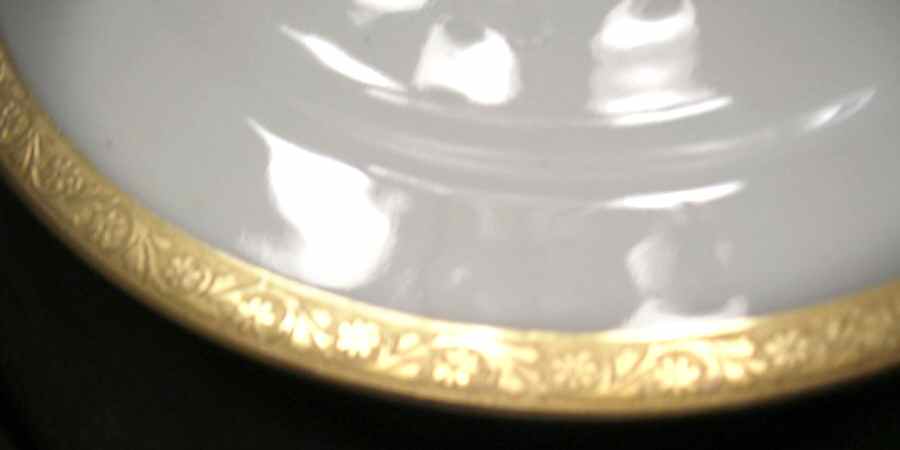 PAD40 Dinner Plate by Paroutaud-1