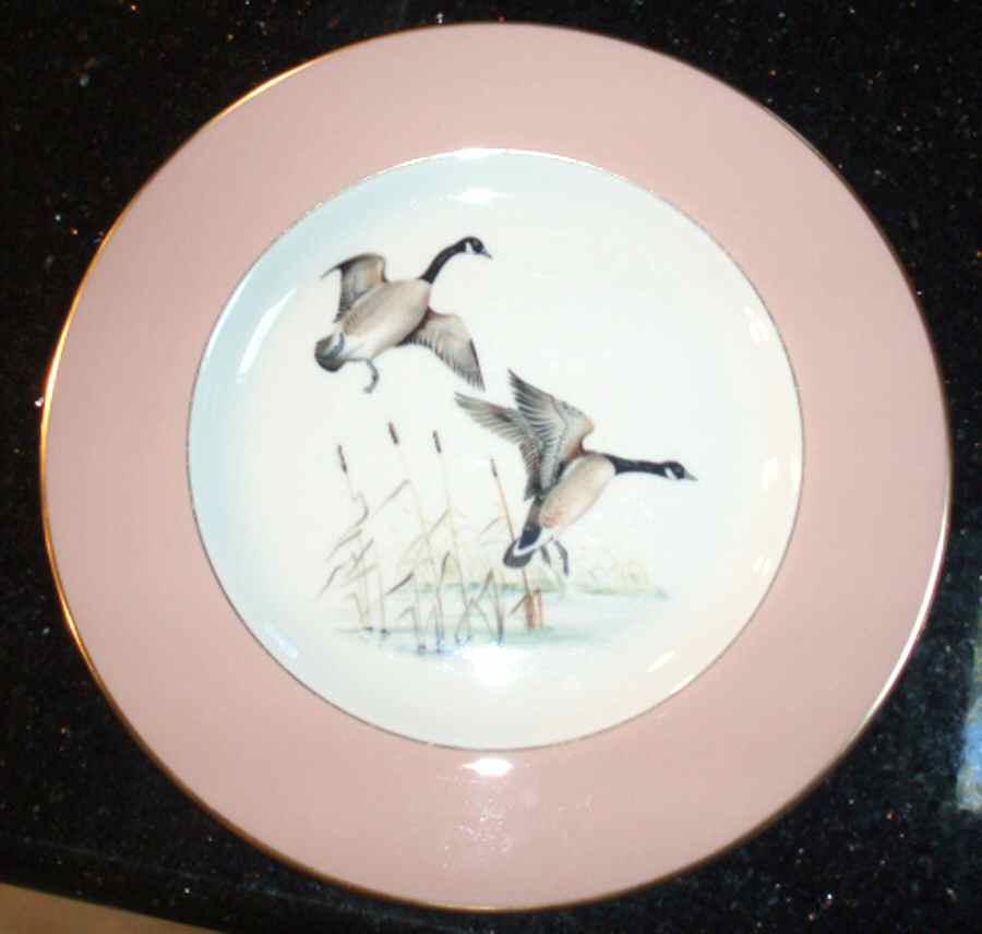 PIC148 Dinner Plate by Pickard-1