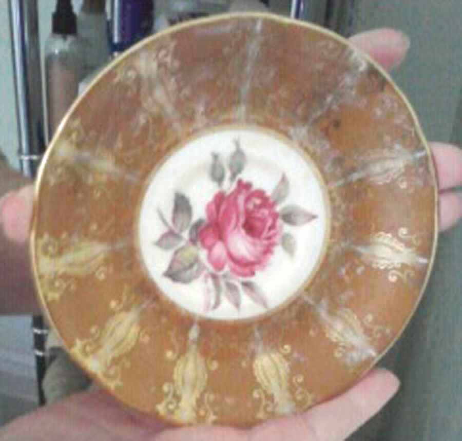 PAR181 Saucer by Paragon-1