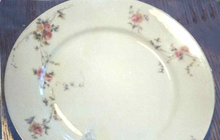 4821-J Dinner Plate by Pfeiffer & Lowenstein-1