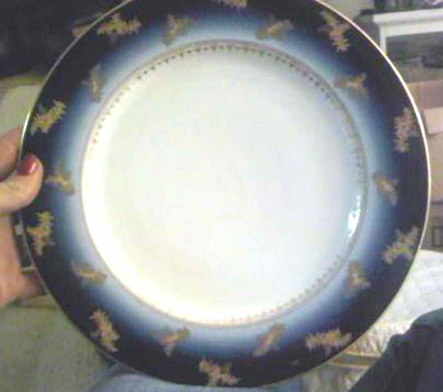 PIR178 Dinner Plate by Pirkenhammer-1