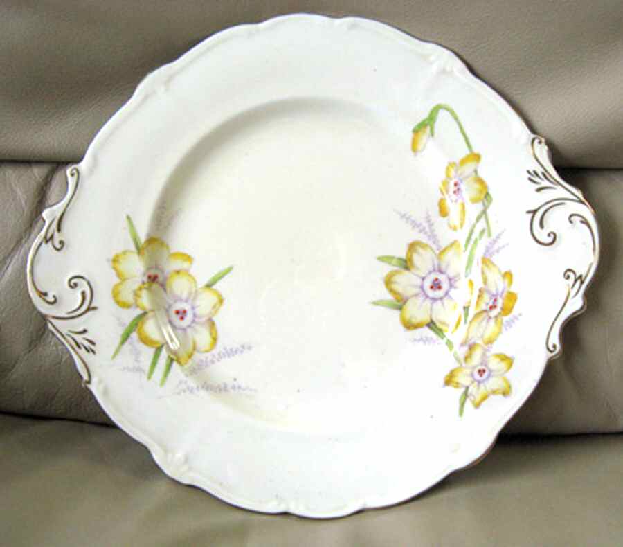 G7923 Handled Cake Plate by Paragon-1