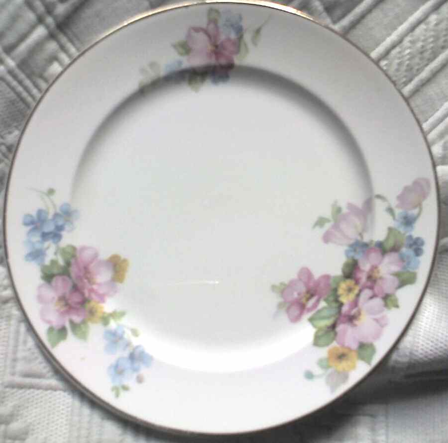 POP293 Dinner Plate by Pope Gosser-1