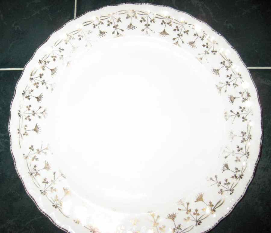 POP295 Dinner Plate by Pope Gosser-1