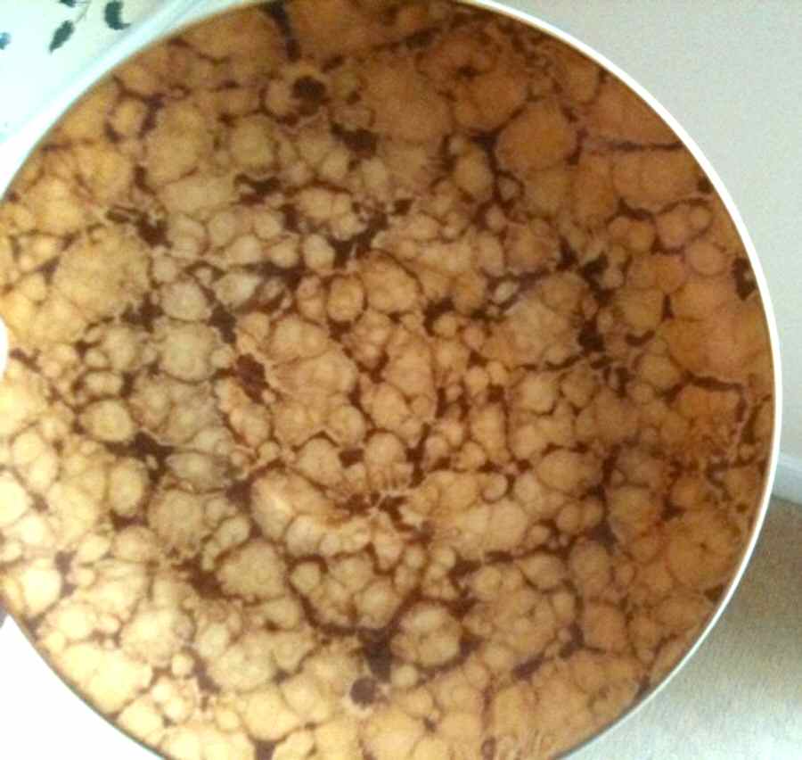 PLR17 Saucer by Pearl China (Japan)-1