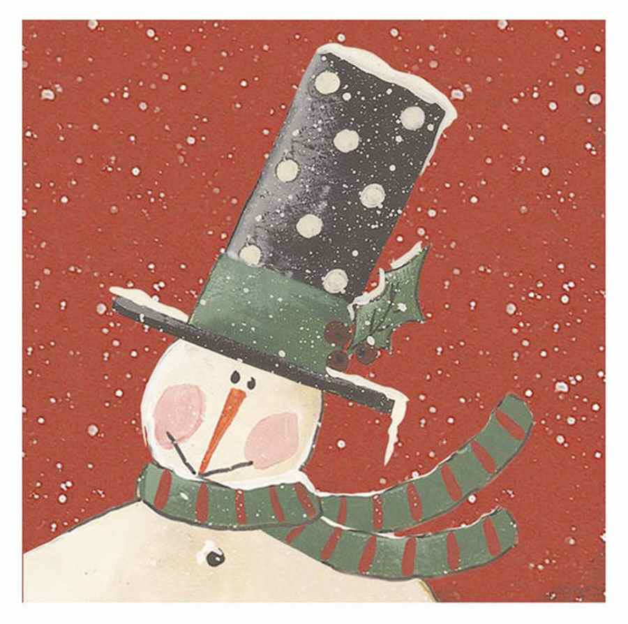 Top Hat Package of Paper Beverage Napkins by Park Designs-1