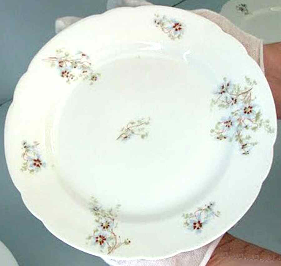 PHL47 Dinner Plate by P H Leonard-1