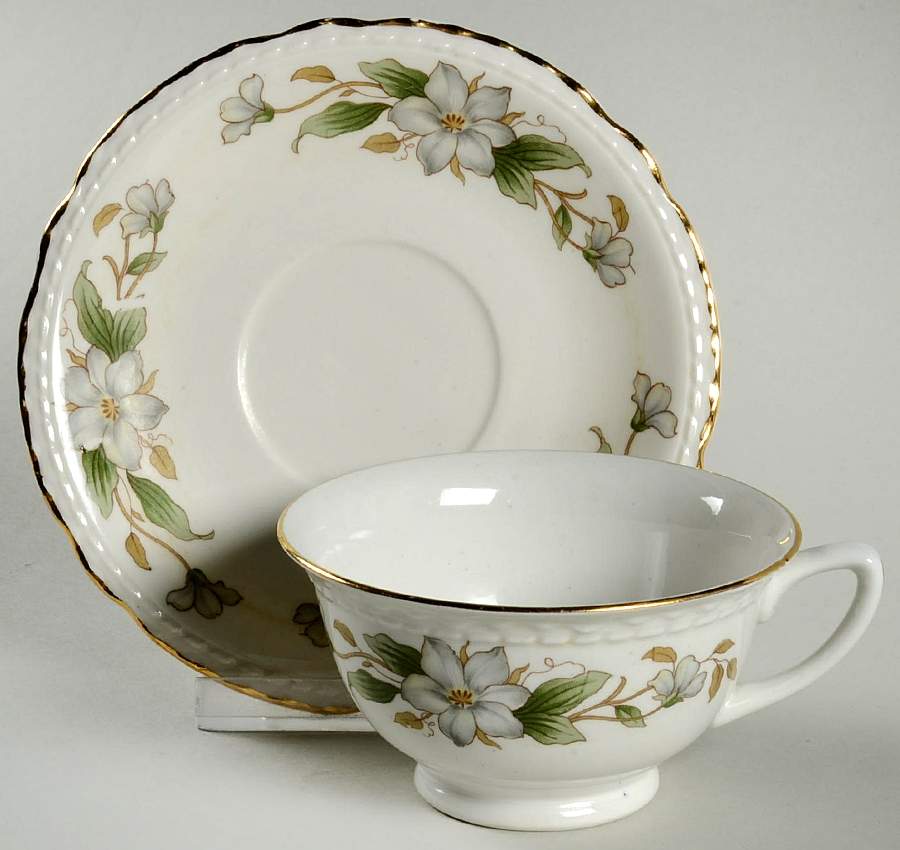 PRI21 Footed Cup & Saucer Set by Princess - Empcraft (USA)-1