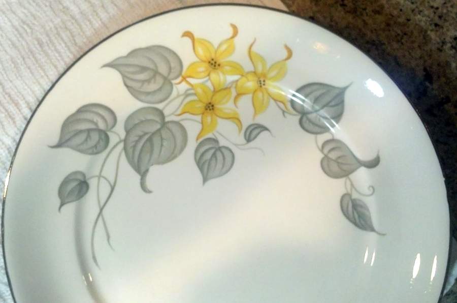 POP298 Dinner Plate by Pope Gosser-1