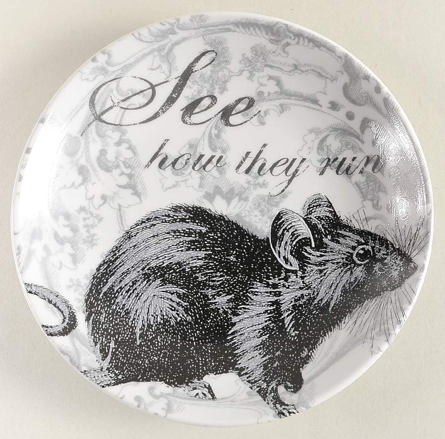Curiosity Appetizer Plate by Pottery Barn China-1
