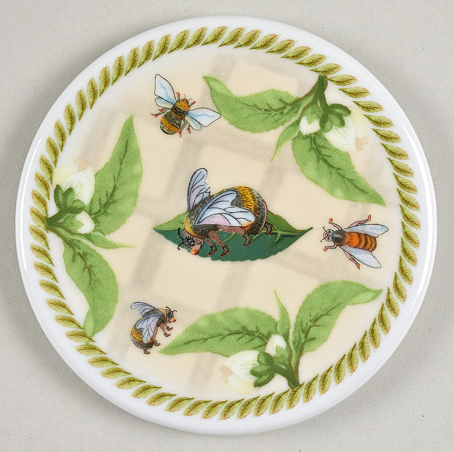 Tea Plant & Honey Bee Coaster Only for Mug & Coaster Set by Cardew Design-1