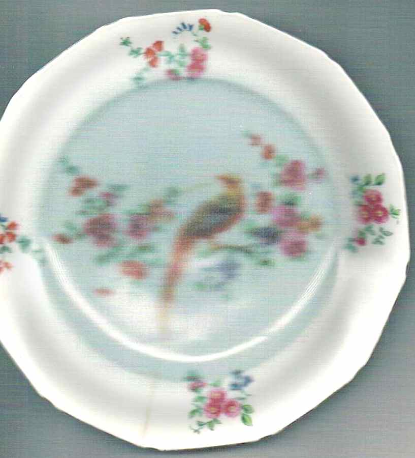 PUN137 Dinner Plate by Porcelain Union-1