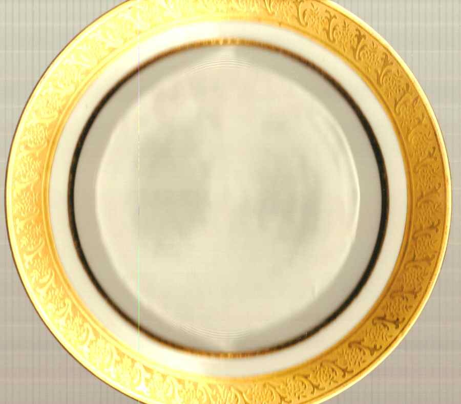 PAD42 Dinner Plate by Paroutaud-1