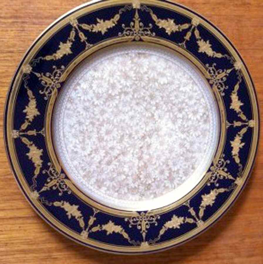 PIR193 Dinner Plate by Pirkenhammer-1