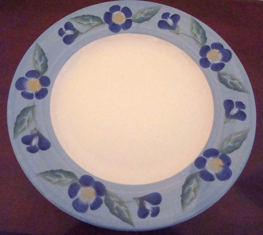 Romantic Garden Dinner Plate by Pier 1-1