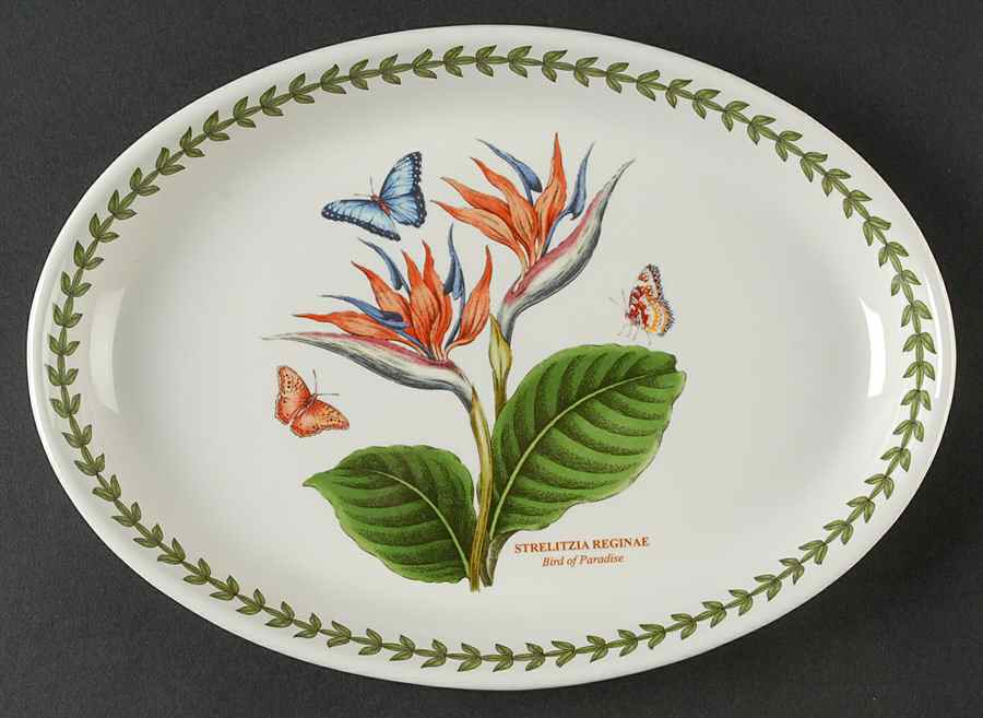 Exotic Botanic Garden 10" Oval Serving Platter by Portmeirion-1