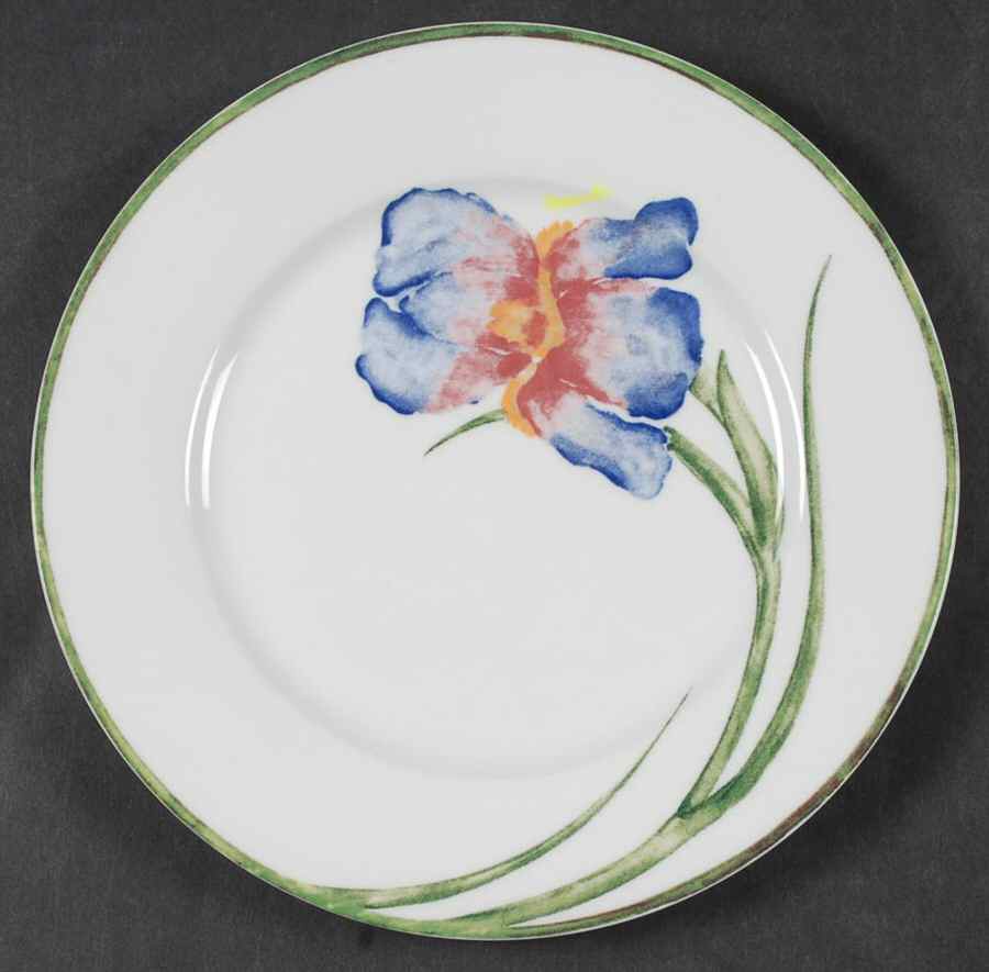 Floral (Floral Off Center) Salad Plate by Pier 1-1