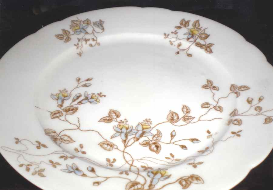 609-242 Dinner Plate by P H Leonard-1