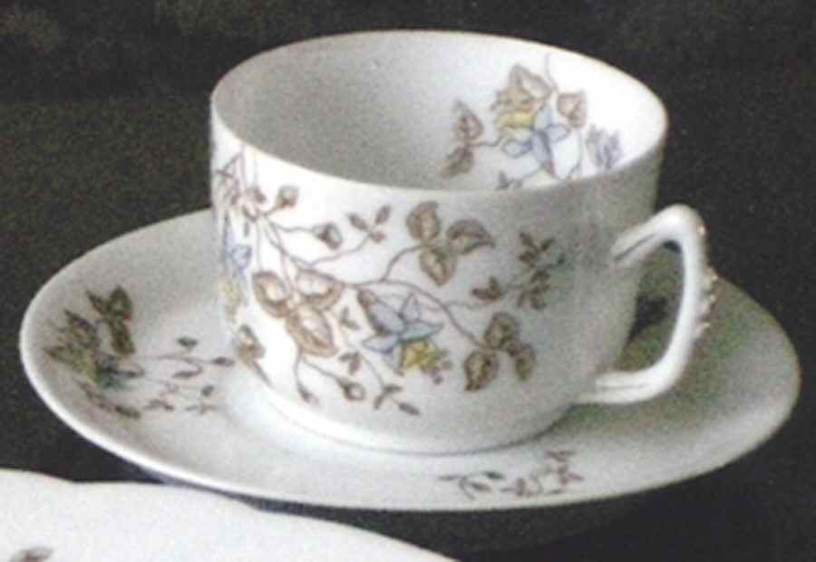 609-242 Flat Cup & Saucer Set by P H Leonard-1