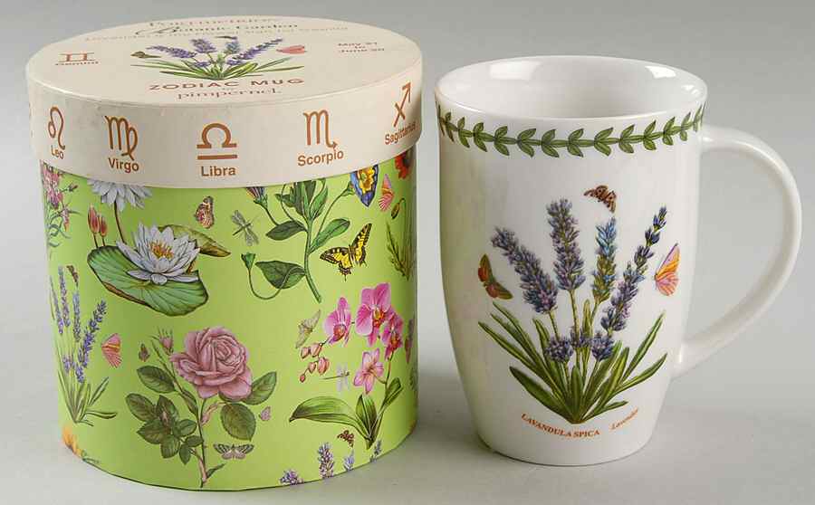 Botanic Garden Zodiac Gemini Mug & Gift Box by Portmeirion-1