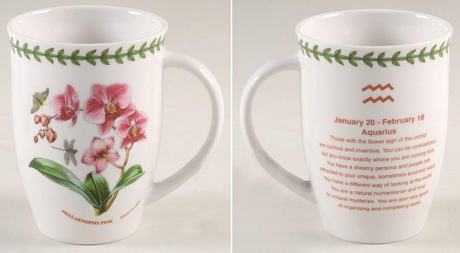 Botanic Garden Zodiac Aquarius Mug by Portmeirion-1