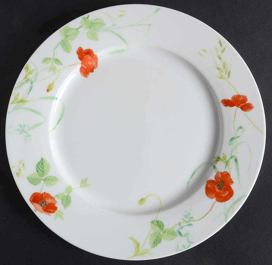 Poppy Valley Dinner Plate by Paula Deen-1