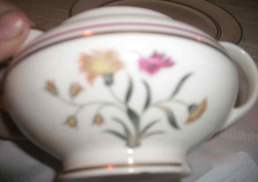 POP302 Sugar Bowl & Lid by Pope Gosser-1