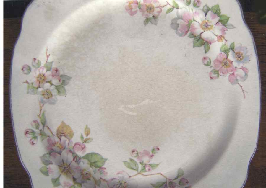 PCP290 Dinner Plate by Paden City-1