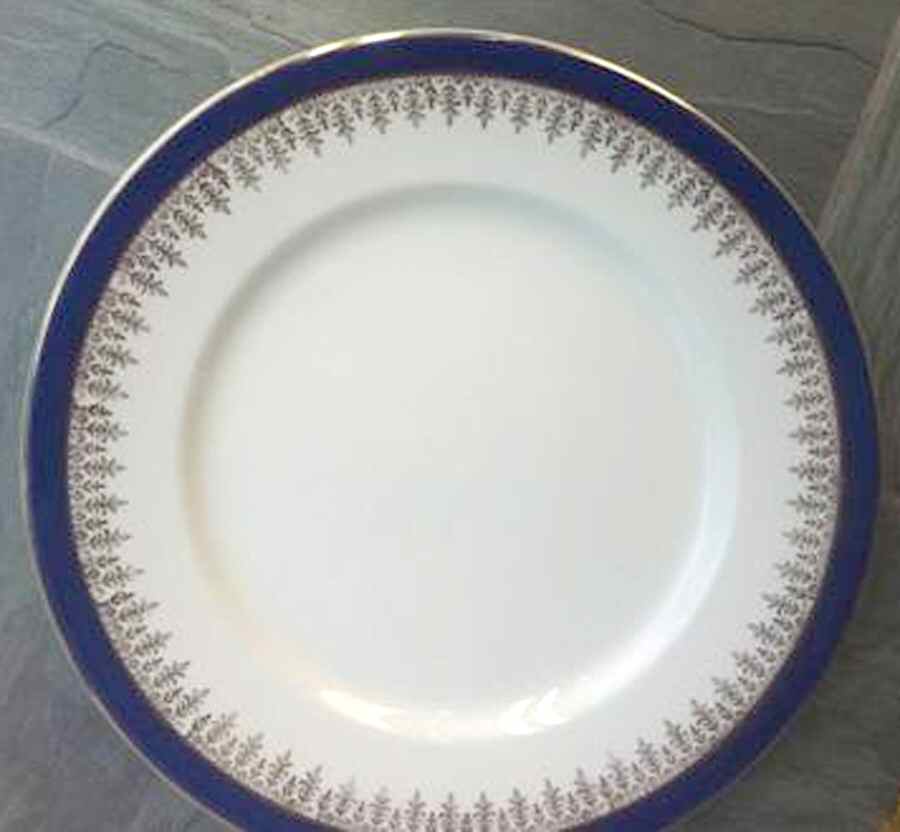 PAL17 Dinner Plate by Palissy-1