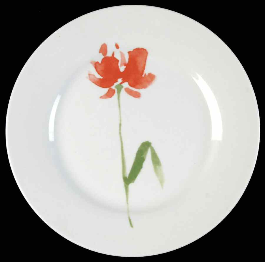 Floral (Single Flower Center) Salad Plate by Pier 1-1
