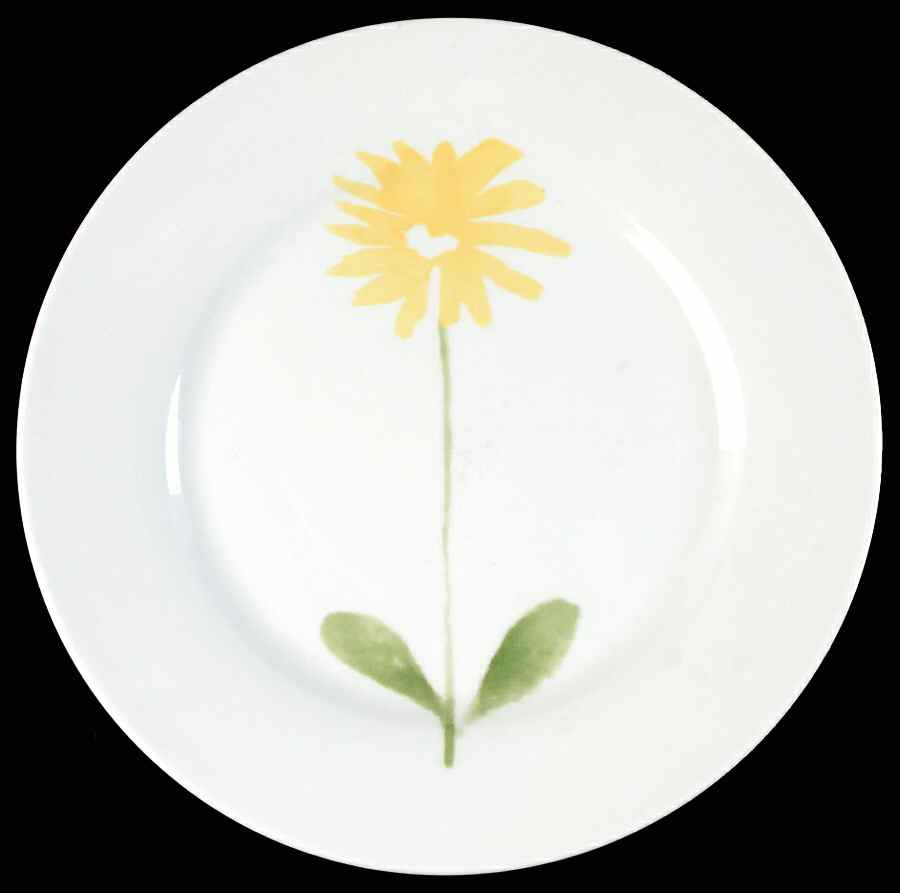 Floral (Single Flower Center) Salad Plate by Pier 1-1