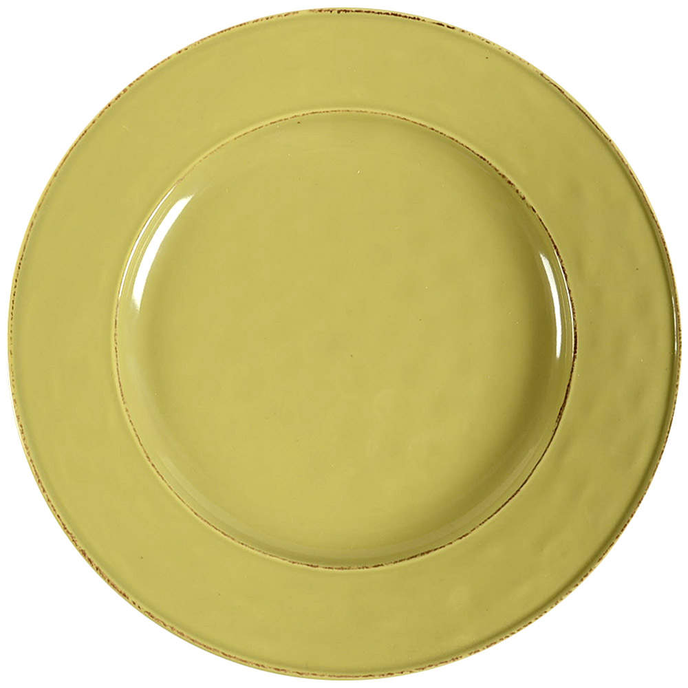 Martillo Sage Dinner Plate by Pier 1-1