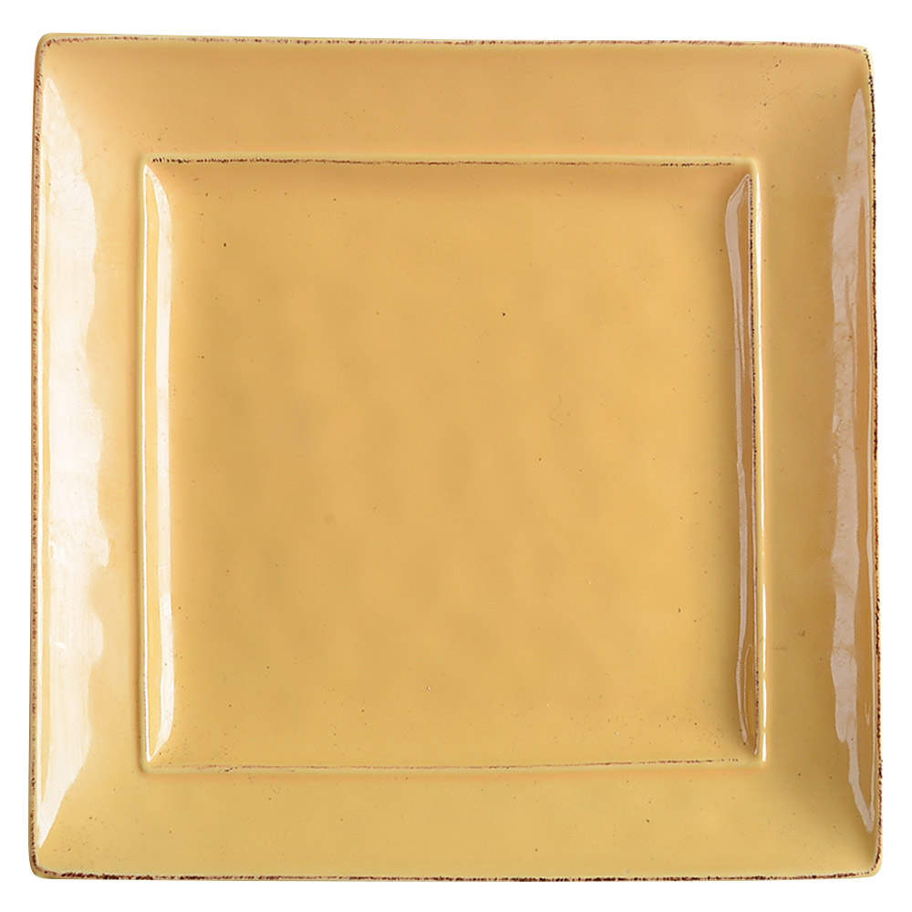 Martillo Mango Square Salad Plate by Pier 1-1