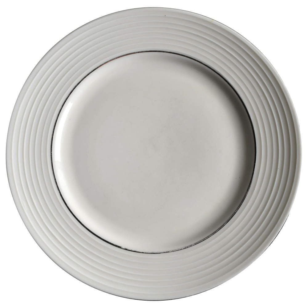 Silver Rings Dinner Plate by Pier 1-1
