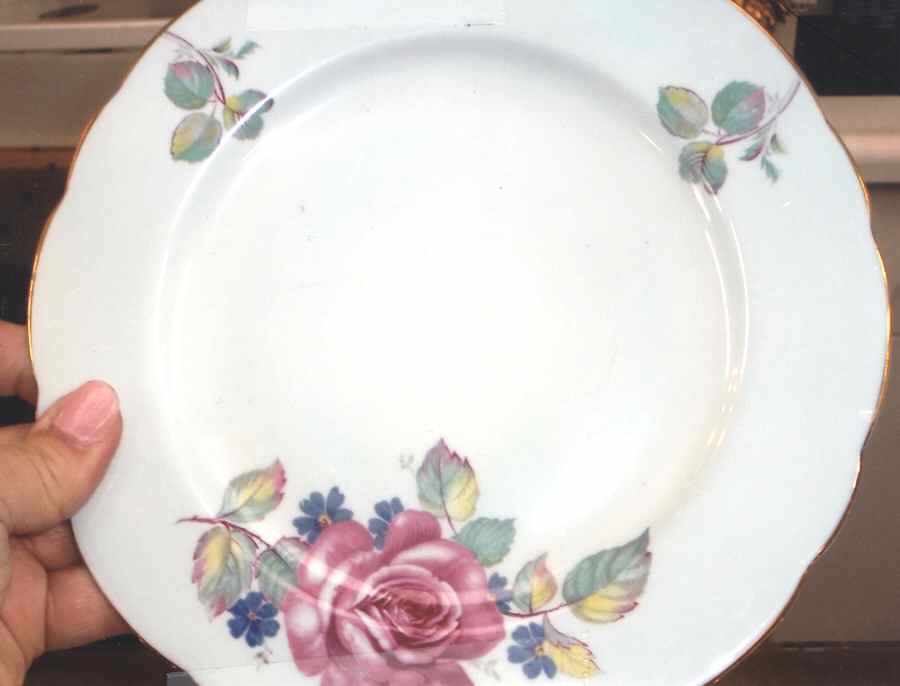 PAR205 Luncheon Plate by Paragon-1