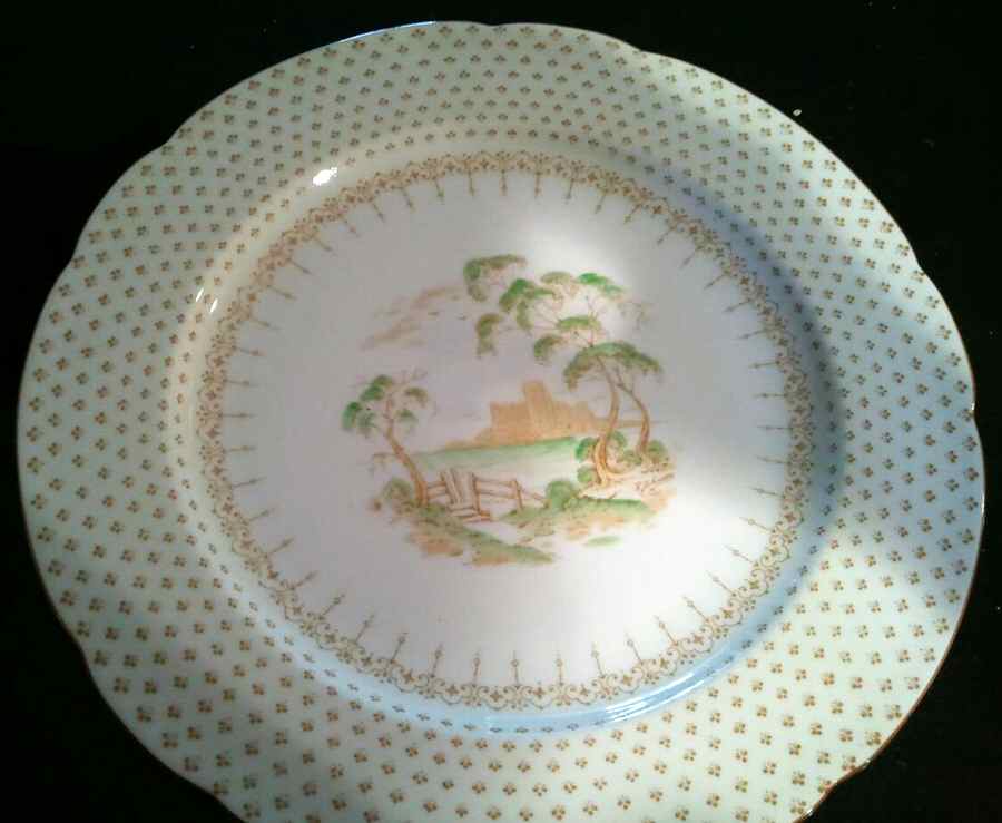 2147 Dinner Plate by Paragon-1