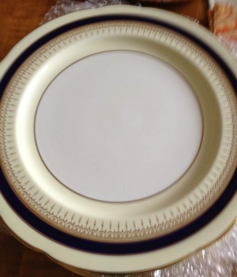 Verona Dinner Plate by Paragon-1