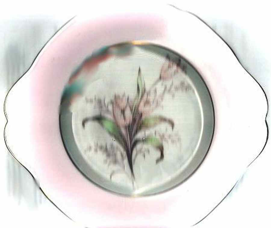 A3327-4 Handled Cake Plate by Paragon-1